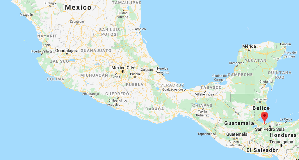 Screen Shot 2020-01-17 at 12.24.29 PM.png